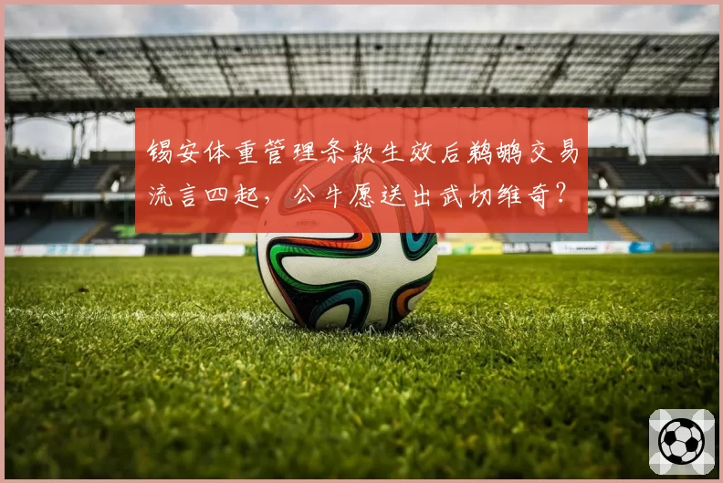 锡安体重管理条款生效后鹈鹕交易流言四起，公牛愿送出武切维奇？