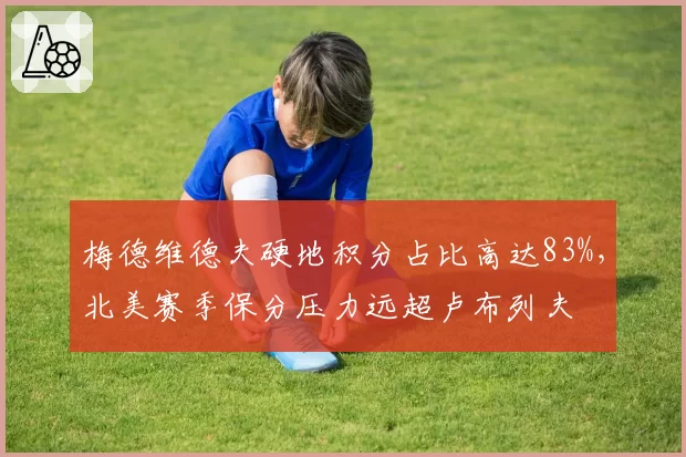 梅德维德夫硬地积分占比高达83%，北美赛季保分压力远超卢布列夫