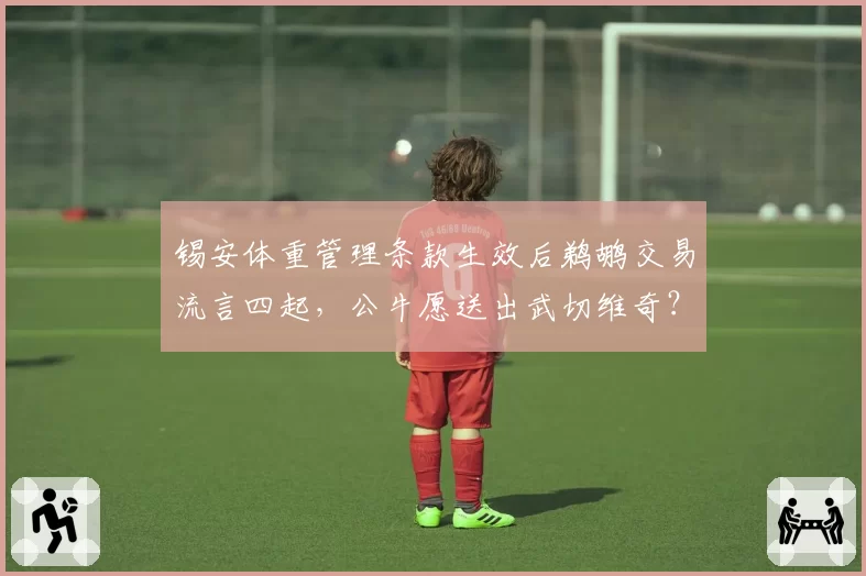 锡安体重管理条款生效后鹈鹕交易流言四起，公牛愿送出武切维奇？